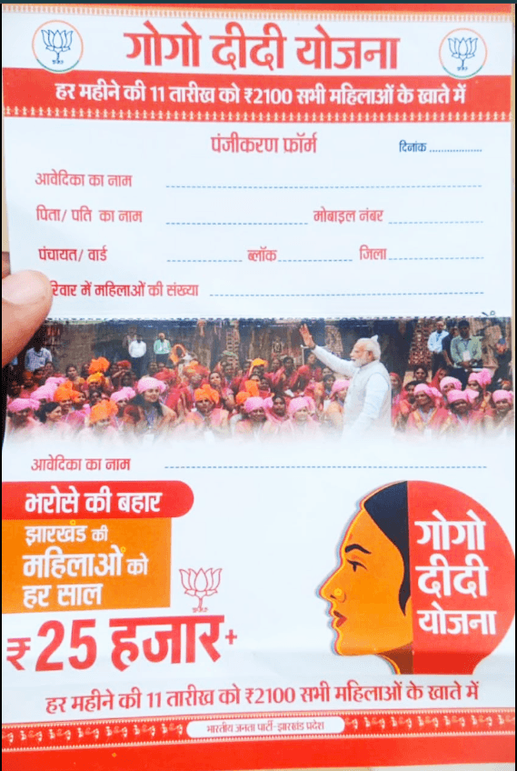 Gogo Didi Yojna Online Apply Gogo Didi Yojna Form