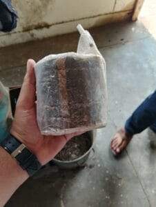 धान की पराली का उपयोग धान की पराली का उपयोग